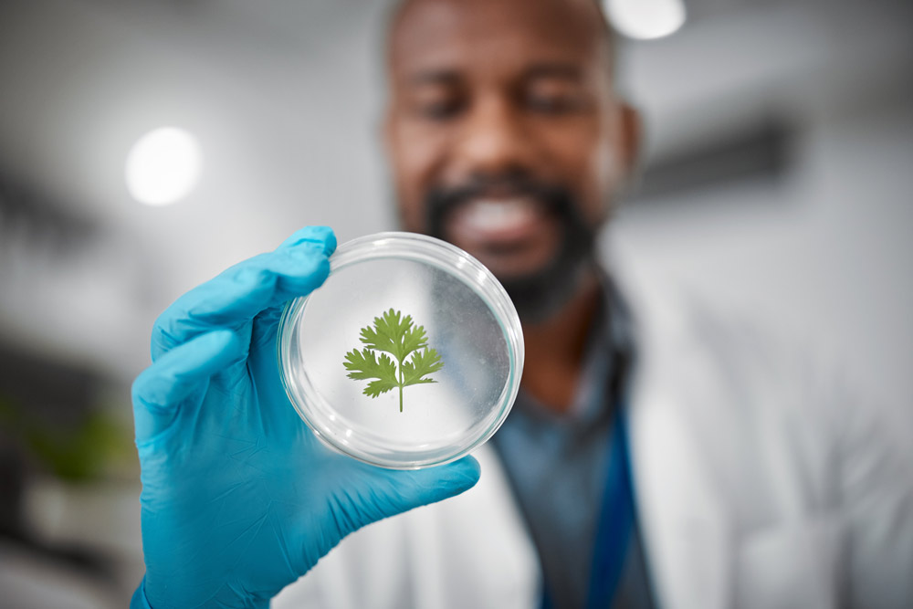 laboratory-petri-dish-or-hands-with-leaf-sample-i-2025-04-06-06-29-32-utc